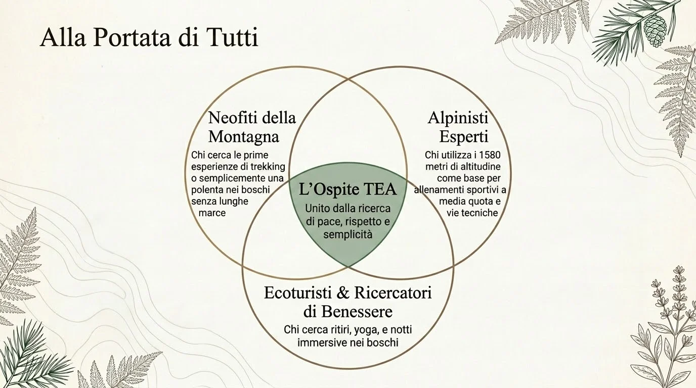 Villa TEA Forest Sanctuary - Cronologia Storica