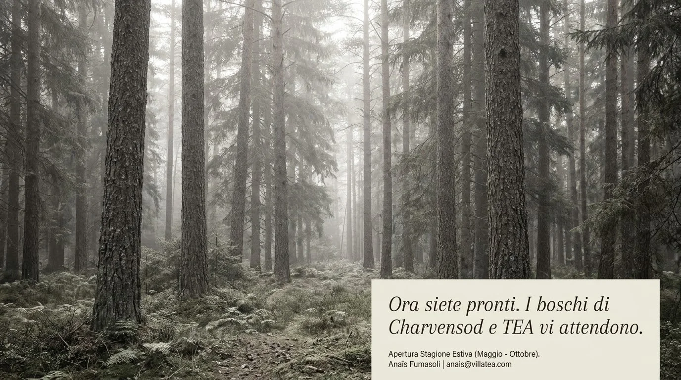 TEA Alpine Manifesto - Ora Siete Pronti