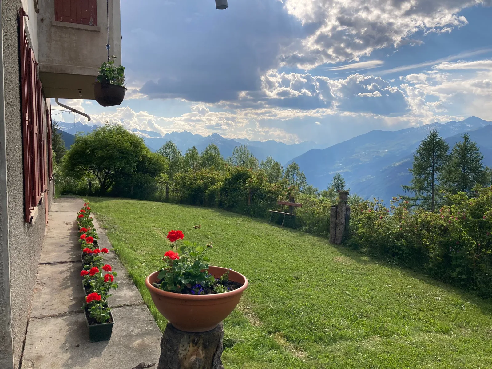 Prato esterno — giardino